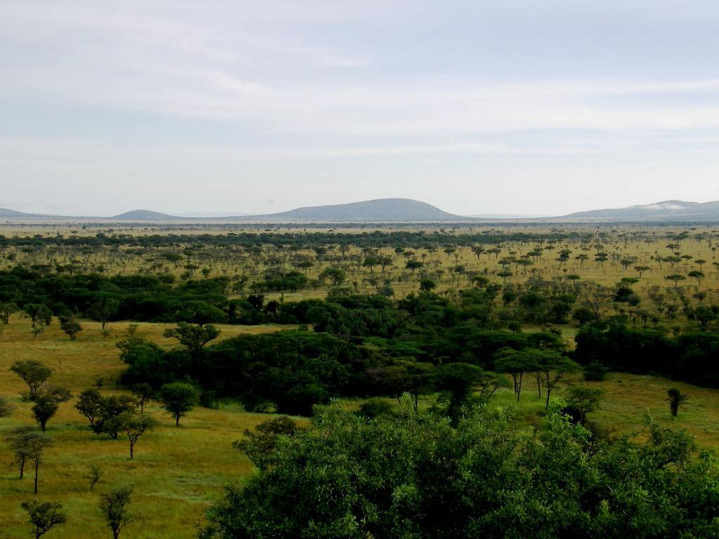 Mbalageti Serengeti Eksteriør billede