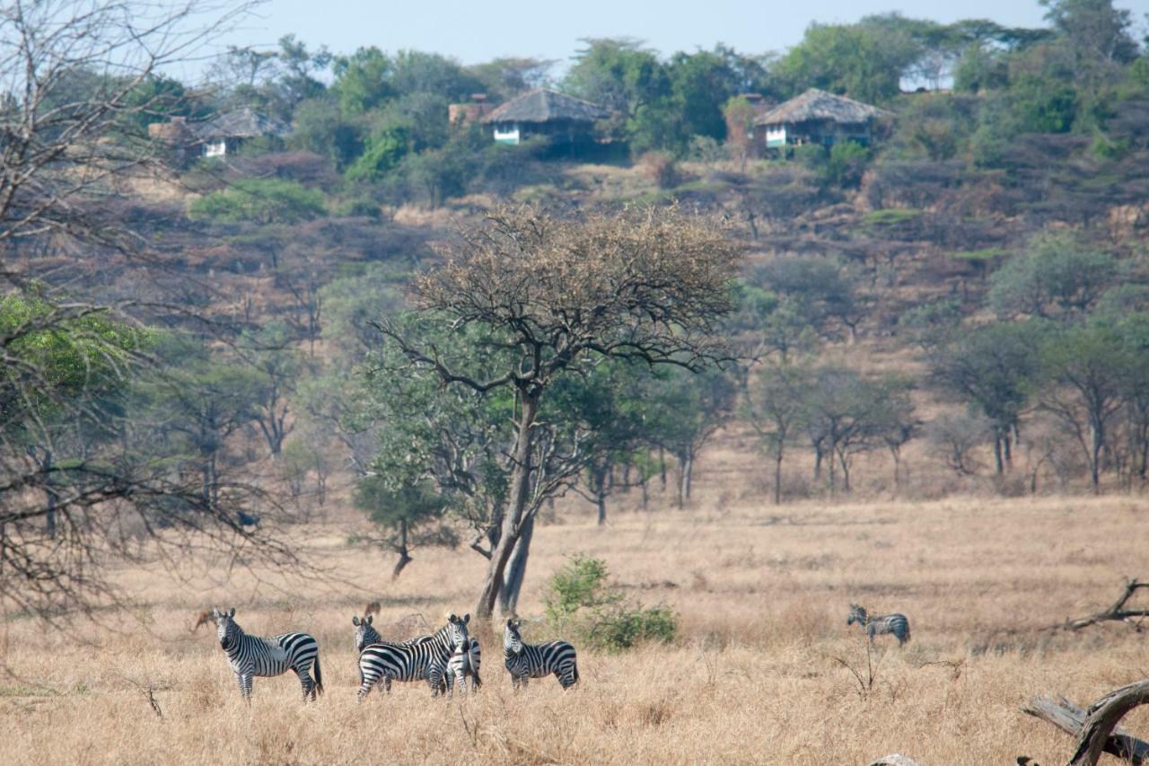 Mbalageti Serengeti Eksteriør billede